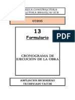 Cronograma de Ejecución de Obra (Otros)