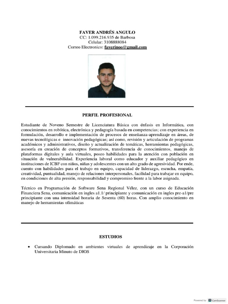 Hoja de Vida Docente Faver Andrés Angulo | PDF