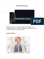 Sistema Fonador 2023
