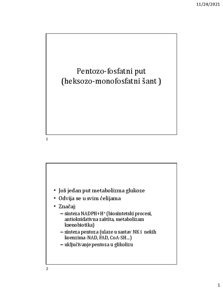 12-Pentozofosfatni Put. Metabolizam Glikogena. | PDF