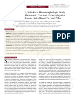 In - A Randomized Split Face Histomorphologic Study Comparing A Volumetric Calcium Hydroxylapatite and A Hyaluronic Acid Based Dermal Filler