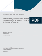 Productividad y Eficiencia en La Producción Ganadera Pastoril en