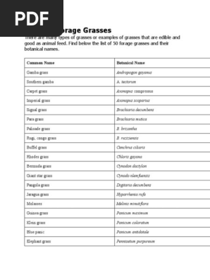 A List of Forage Grasses and Scoentific name