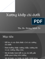 X NG KH P Chi D I Ươ Ư : Ths. Bs. Hoàng Minh Tú