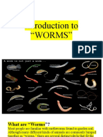 Introduction To "Worms"