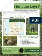 Turkey Tracts Info Sheet