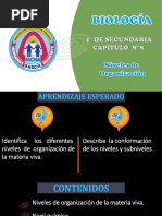 NIVEL DE ORGANIZACIoN