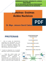 Proteínas-Enzimas Ácidos Nucleicos: Dr. Blgo. Jeisson David Cabos Sánchez