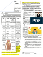 Endocrine System Notes