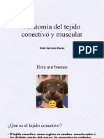 Anatomía Del Tejido Conectivo y Muscular.