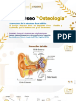 Sistema Óseo: "Osteología"