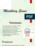 Maxillary Sinus