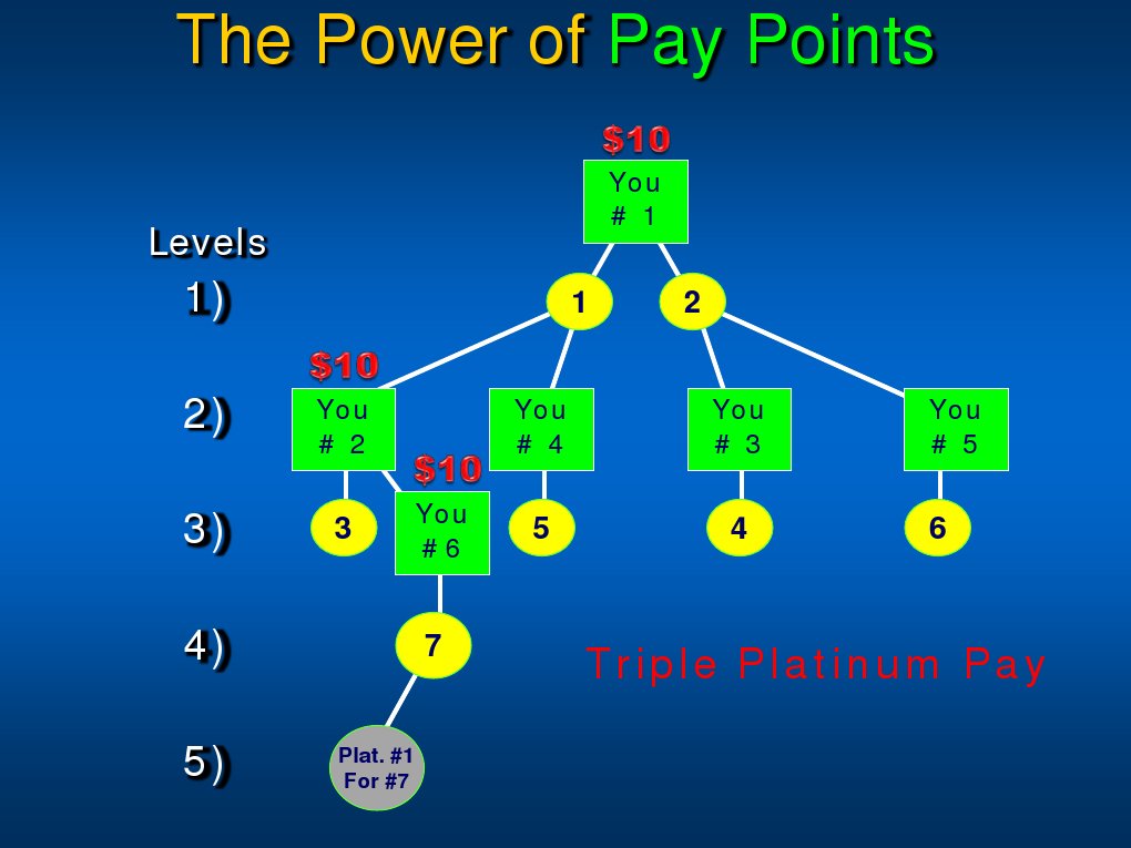 Understanding Pay Points Structure | PDF | Games & Activities