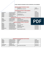 Directiva de Las Comiciones Del Consejo Economico y Social