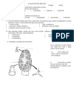 Avaliação de Ciências sobre Poríferos e Cnidários