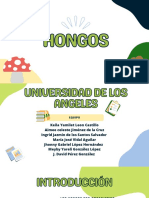 Hongos