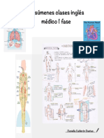 Resúmenes Inglés Médico 1 Fase Daniella Calderón