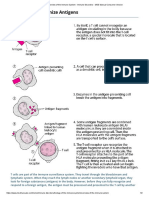 Print - How T Cell Recognize Antigen - CM Montes