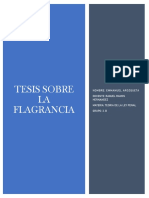 Detención en Flagrancia PDF