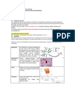 NEURONS Report Guide - CM Montes