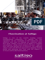 Fluorination at Saltigo Flyer Online