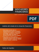 Indicadores Financieros: Ruben Alexander Muñoz Arteaga