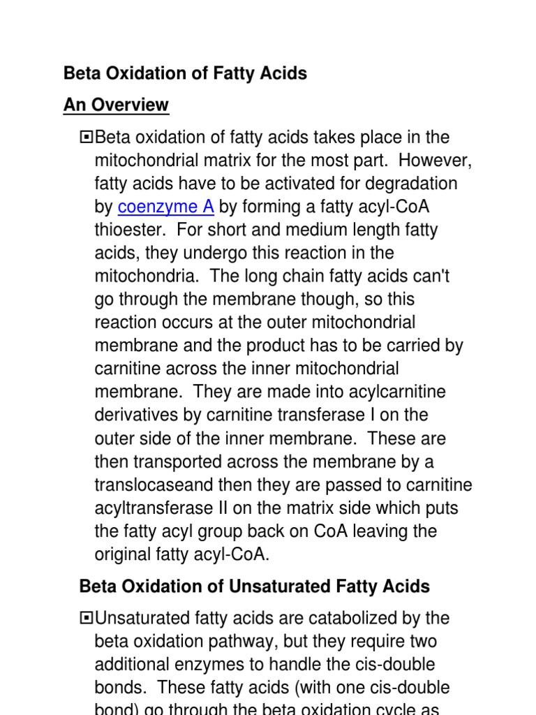 Beta Oxidation of Fatty Acids | PDF | Fatty Acid | Nutrients