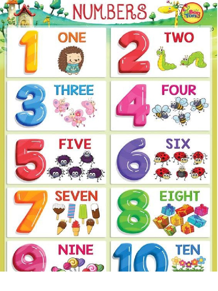 NUMBERS MANUALS AND DOWNLOADS visual data 6