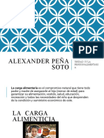 Alexander Peña Soto: Unidad Iv:La Pensiónalimentari A