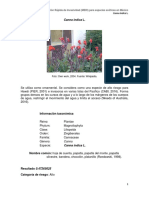 Canna Indica L.: Método de Evaluación Rápida de Invasividad (MERI) para Especies Exóticas en México