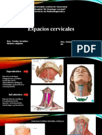 Espacios Cervicales