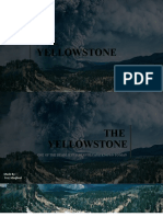 THE Yellowstone