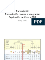 02 Transcr, TR, Integracion, Repl V A DNA
