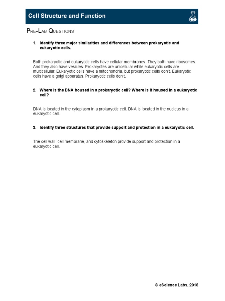 Cell (biology) visual data 8