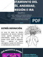 Estado de Animo Negativo