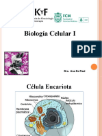 2021 - Célula 1º Parte