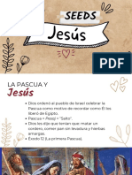 Jesús: Seeds