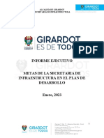 Informe Ejecutivo Metas