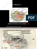 La Célula !!!!: Unidad Funcional de Los Seres "Solo Vale La Pena Vivir para Vivir "