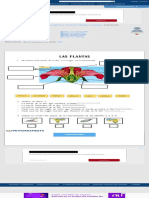 Actividad Online de Partes de La Flor