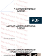 Anatomía Palpatoria Extremidad Superior: Isaac Serrano. Fisioterapeuta