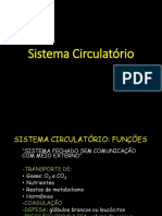 Sistema Circulatório