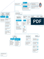 Mapa Conceptual Nic 1 2023