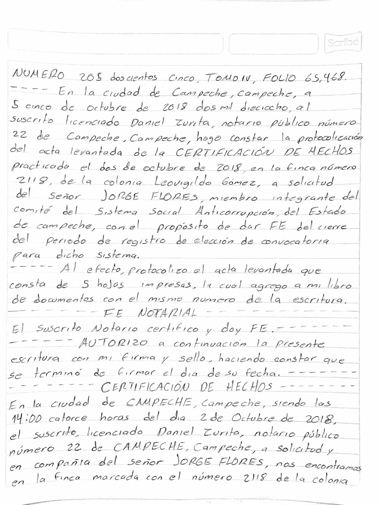 Fe de Hechos (Didáctica A Mano) PDF