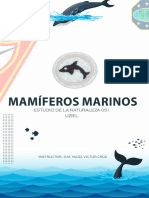 mamiferos_marinos