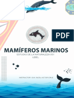 Mamiferos Marinos