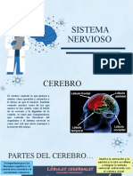 Sistema Nervioso-4