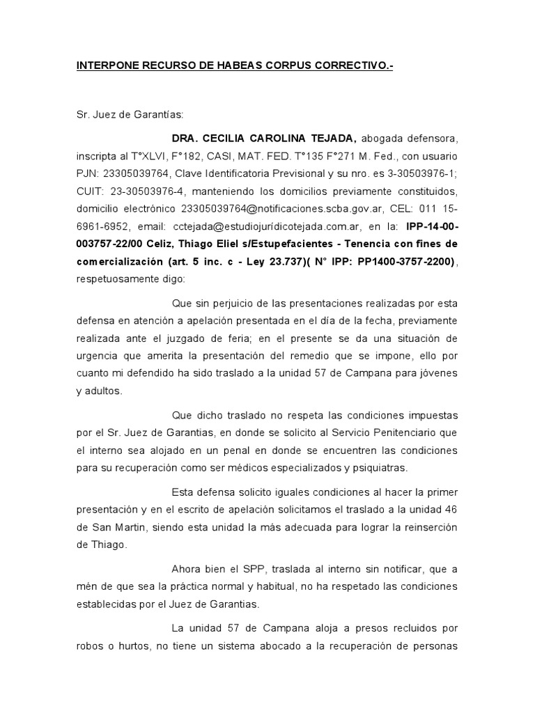 INTERPONE RECURSO DE HABEAS CORPUS CORRECTIVO | PDF