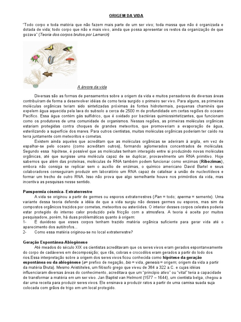 Meiose: resumo, fases e diferenças da mitose - Toda Matéria