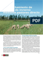 Verdeos Revista 85 Fyd